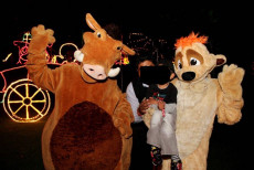 Lion King Heroes