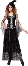 Black and Silver Witch