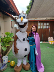 Frozen Party