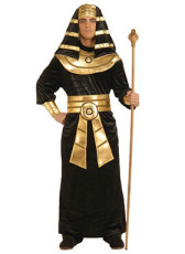 Black &amp; Gold Pharaoh
