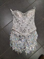 Silver Corset with Skirt