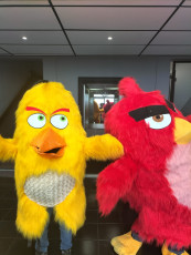 Red &amp; Chuck Mascots