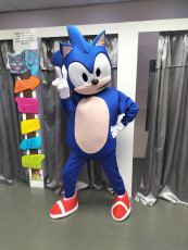 Sonic Mascot