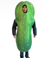 Pickle Costume