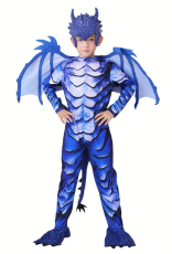Frost Dragon Knight Costume