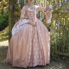 Pale Pink Aristocratic Gown